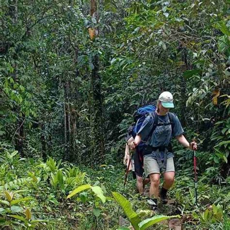 Conozca Los Cinco Mejores Senderos En Costa Rica Para Iniciar En El