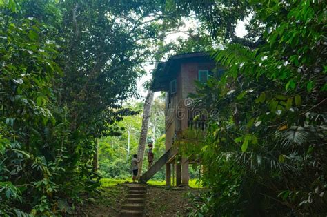 Tourists Enjoying Jungle Walk And Hiking At Taman Negara Natioanl Park