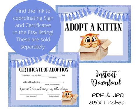 Editable Kitten Birthday Party Invitation Purr Fect Day Adopt A Kitten Cat Blue Boy