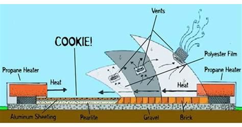 The World’s Biggest Cookie | Immaculate Baking Company The World’s ...