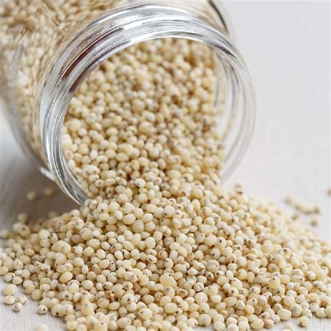 White Sorghum Export From India White Sorghum Exporter From Secunderabad