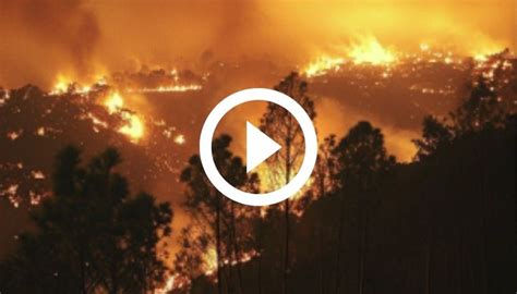 Incendios Forestales Azotan A Colombia