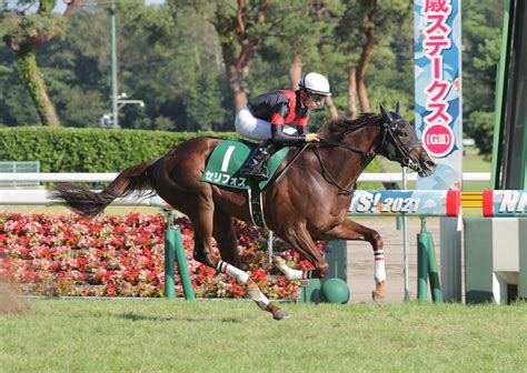 【注目馬動向】セリフォスは藤岡佑介騎手との新コンビでデイリー杯2歳sへ Umatoku 馬トク