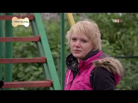 Фокс - YouTube