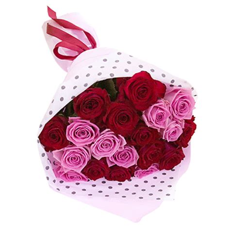 Букет 19 красно-розовых роз — купить с доставкой ️ Цветочный магазин ...