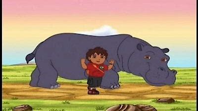 Go Diego Go Hippo And Oxpecker