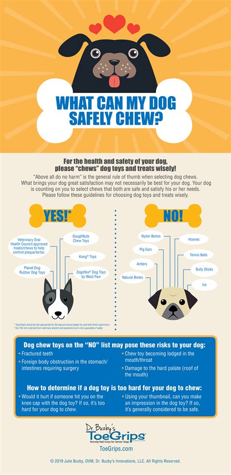 Safe dog toys – Artofit