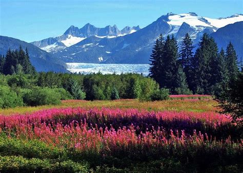 Mendenhall Glacier, Juno, Alaska