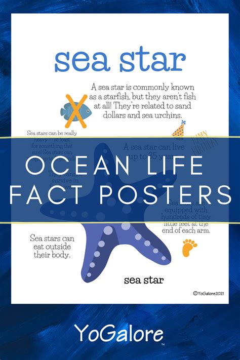 Ocean Fun Facts For Kids