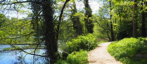 À la découverte de Grunewald Halensee et Teufelsee Vivre à Berlin