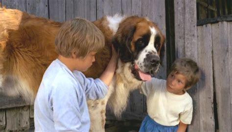 Tjorven och Mysak (1966) :: starring: Kajsa Dandenell, Kristina ...