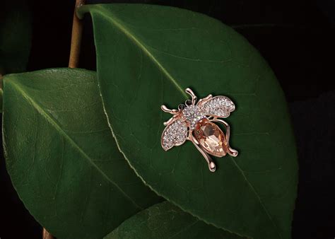 Exploring the luxury and history of the famous seelbach today 5