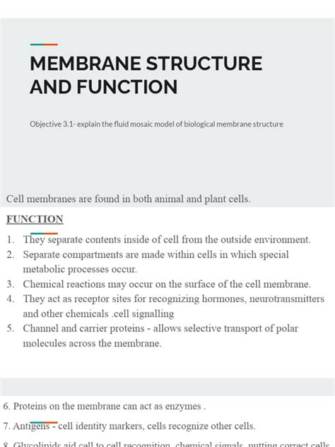 membrane structure  function explained  cell membrane lipid