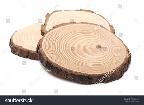 Cross Section Tree Trunks Stumps Isolated Stock Photo 1576560073