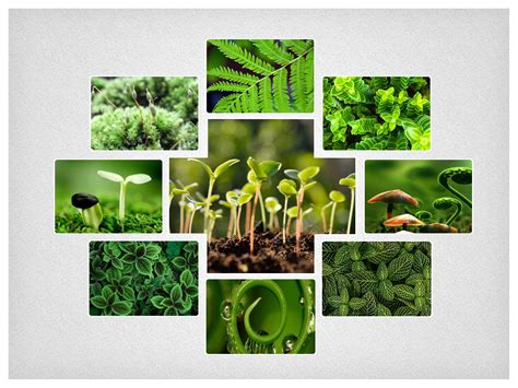 Department of Economics