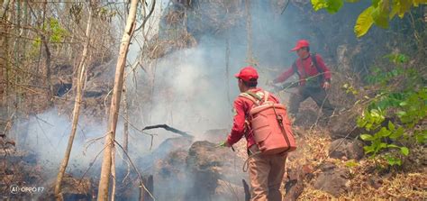 Forest Fires Continue To Plague Mae Hong Son Rfmrc Sea