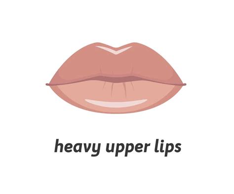 9 Different Types Of Lips How To Enhance And Take Care Of Them