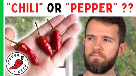 Chili Or Pepper Which One Is It Pepper Geek Youtube