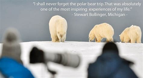 Unique Alaska Polar Bear Tour- Wild Alaska Travel