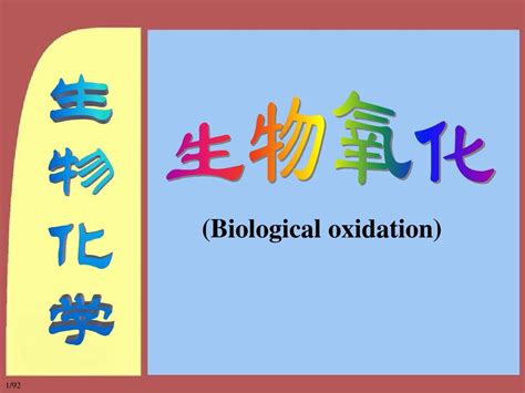 02 第02章 生物氧化10word文档在线阅读与下载无忧文档