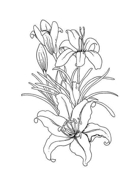 Coloriage Fleurs De Lys Pour Enfants T L Charger Et Imprimer Gratuit