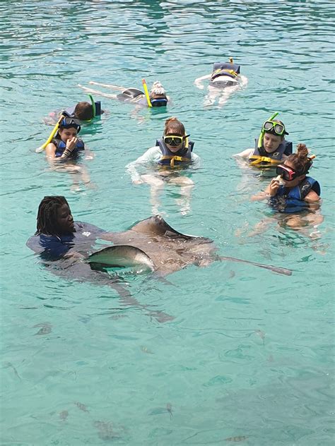 Students in Broadreach Veterinary Medicine 12 day adventure in The Bahamas enjoy a stingray ...