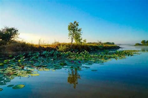 Corroboree Billabong Wetlands Experience | Aussie Mob