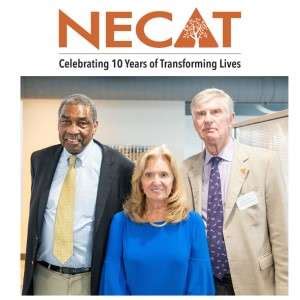 Charting A Course For The Future The Search For Necat S New Executive