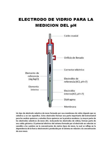 Funcionamiento Del Electrodo De Vidrio Medici N Precisa Del Ph