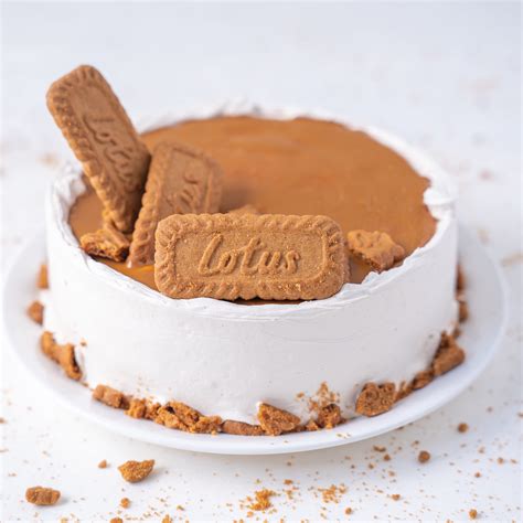 buy biscoff cake  cake delivery cakebee