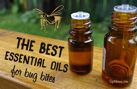 Essential Oil For Bug Bites Pregnant Health Tips