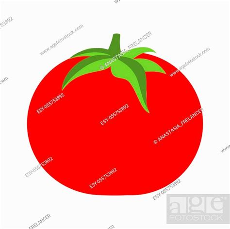 Tomato Isolated Single Simple Cartoon Stock Vector Vector And Low