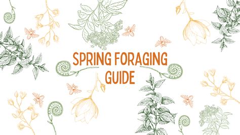 Spring Foraging Guide – Buzz & Bloom