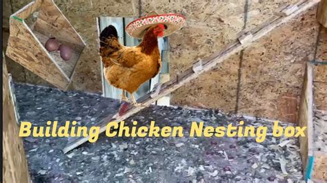 Building A Chicken Nesting Box Egg Box YouTube