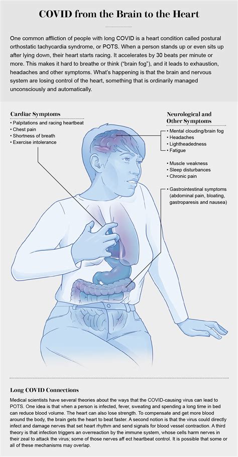 Long COVID Now Looks Like A Neurological Disease Helping Doctors To