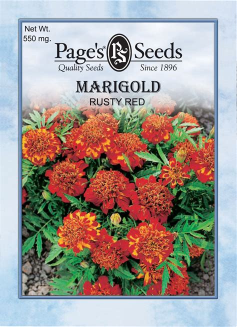 Marigold, Rusty Red | The Page Seed Company, Inc