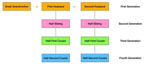 How Do Family Trees Work With Cousins? - Family Tree Resources