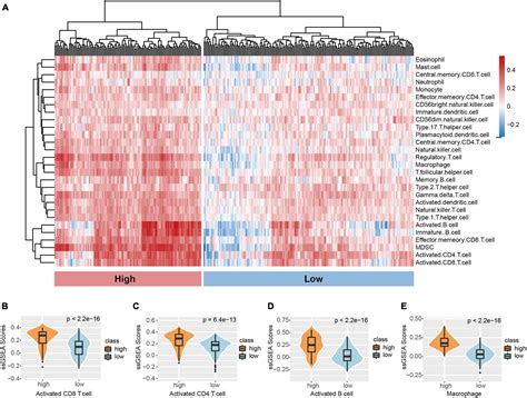 Frontiers Immune Cell Infiltration Based Characterization Of Triple