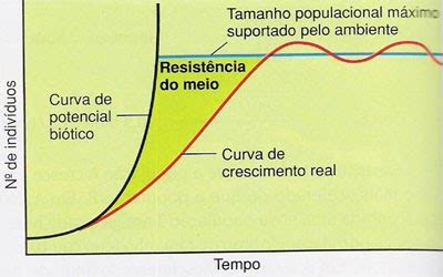 DENILSONBIO Curva De Crescimento Populacional