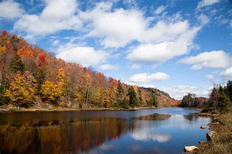 Bald Mountain Pond Photograph By David Patterson Pixels