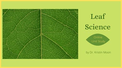 Leaf Science - Kristin Moon Science