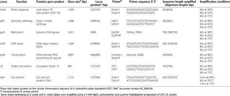 Primers and amplification conditions | Download Table 