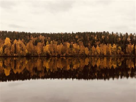 Rovaniemi Excursi N Guiada En Bicicleta El Ctrica Por Las Tierras