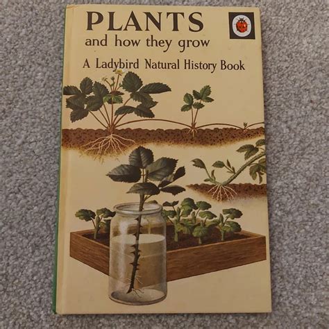 Plants Workbook Vintage