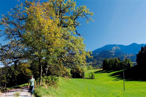 Wandern Chiemsee Alpenland Rundwanderung Am Sattelberg