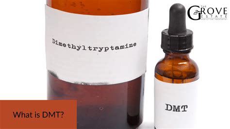 dmt addiction effects  treatment