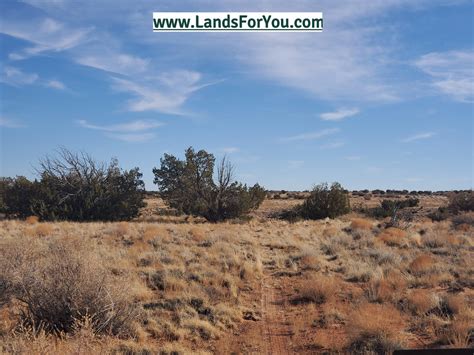 Winslow Navajo County Az Recreational Property Undeveloped Land For