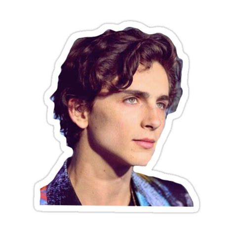 Timothee Chalamet Sticker For Sale By Elliehart Funny Laptop