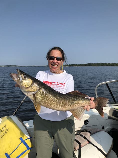 Visitor guide on shady grove parking and the best times to visit 20