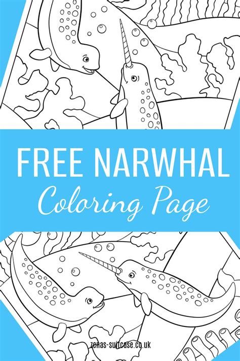 Free Narwhal Colouring Page Printable Zena S Suitcase Narwhal